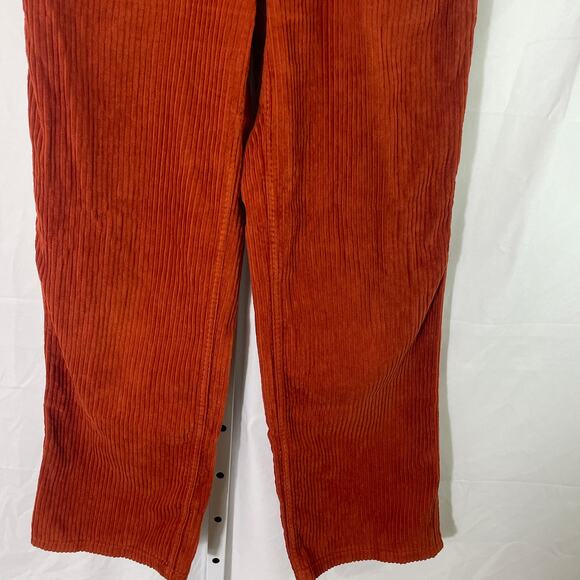 BDG Corduroy Cabincore Retro Pants - Women Size 25 - Rust - Picture 3 of 5